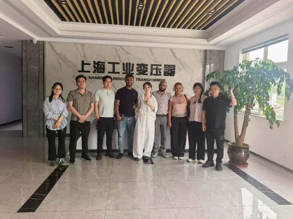 Primire călduroasă! Delegația Etiopiei vizitează Shanghai Industrial Transformer Co., Ltd. pentru schimb de transformatoare și echipamente de distribuție a energiei